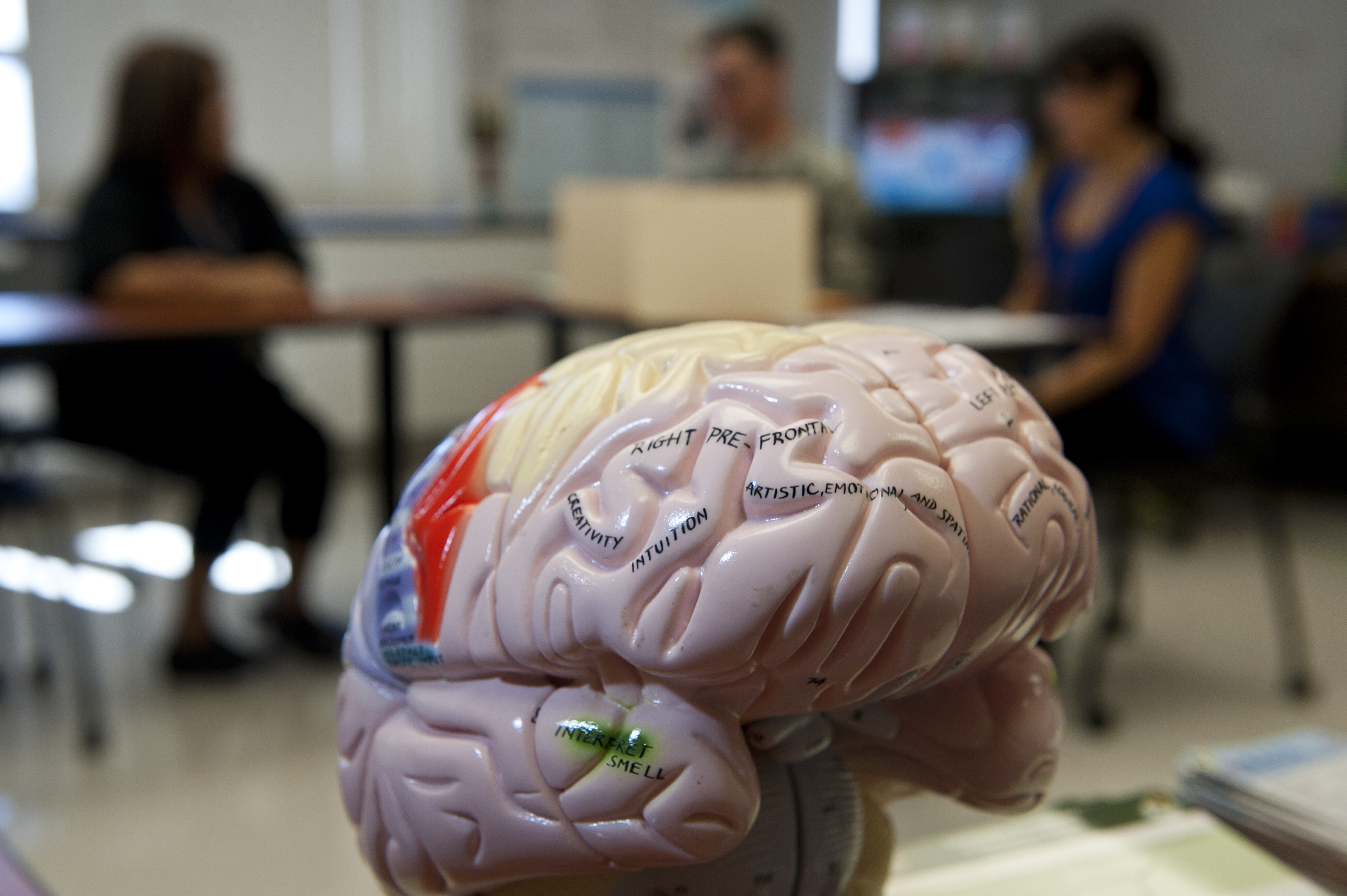 Rehabilitation for brain injuries